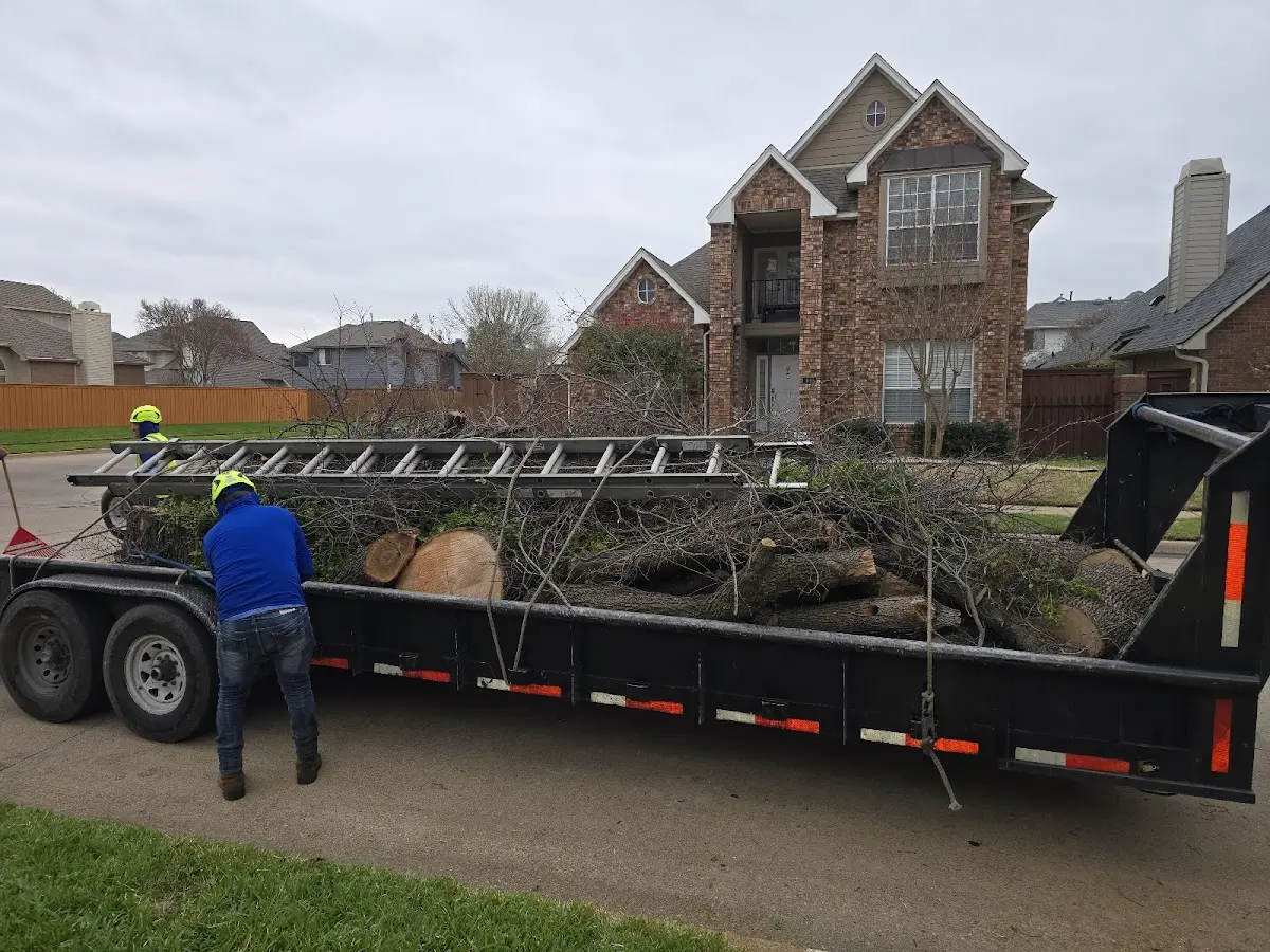Expert Tree Fertilization with proper safety equipment in Deer Grove